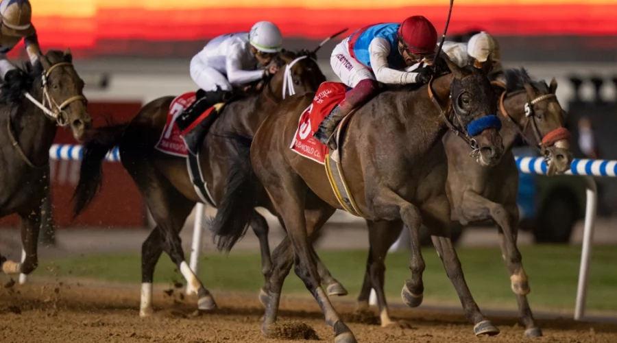 Can I bet on sports in Dubai?